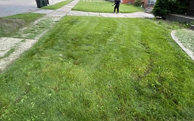 Photo of Shawn S.'s yard after getting landscaping in Howell, MI