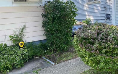 Photo of Kim B.'s yard after getting landscaping in Sheffield Lake, OH