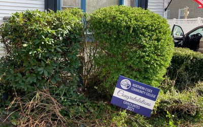 Photo of Brandon P.'s yard after getting landscaping in Cambridge, MA