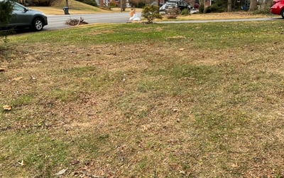 Photo of Danielle W.'s yard after getting landscaping in Hume, VA