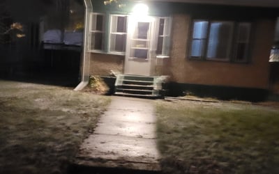 Photo of Donna C.'s yard after getting tree care in Princeton, MN