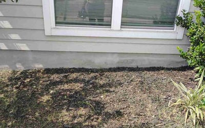 Photo of Rachel N.'s yard after getting tree care in San Marcos, TX