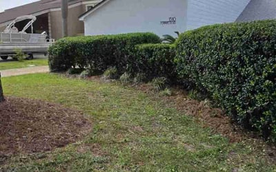 Photo of Misty B.'s yard after getting landscaping in Panama City Beach, FL