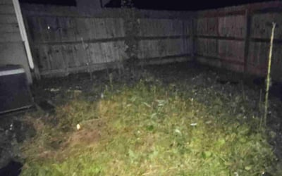 Photo of John H.'s yard after getting landscaping in Marietta, GA
