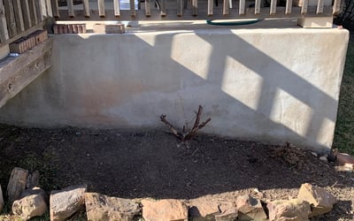 Photo of Missy Y.'s yard after getting landscaping in Mc Dade, TX