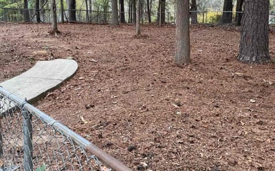 Photo of Mary P.'s yard after getting landscaping in Buchanan, GA