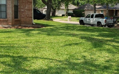 Photo of Adam B.'s yard after getting landscaping in Raywood, TX