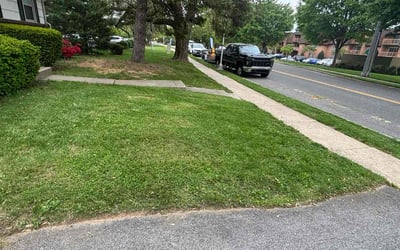 Photo of David P.'s yard after getting landscaping in Sandy Spring, MD