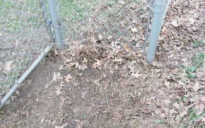 Photo of Aaron D.'s yard after getting landscaping in Johnston, IA