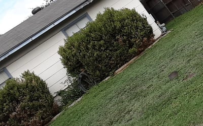 Photo of William B.'s yard after getting landscaping in Marion, TX