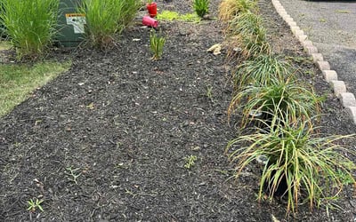 Photo of Daniel R.'s yard after getting landscaping in East Hanover, NJ