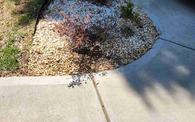 Photo of Luanne J.'s yard after getting tree care in Chester, SC