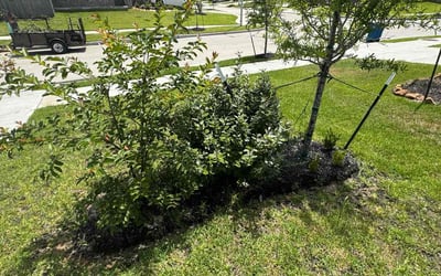 Photo of Megan S.'s yard after getting landscaping in Porter, TX