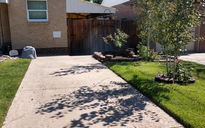 Photo of Kathryn M.'s yard after getting landscaping in Jefferson, CO