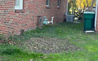 Photo of Kelli O.'s yard after getting tree care in Swanton, OH