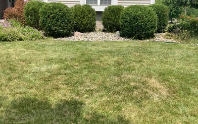 Photo of Steve M.'s yard after getting landscaping in Okemos, MI