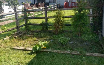 Photo of Joe M.'s yard after getting landscaping in West Chester, PA