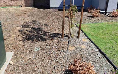 Photo of Jamillah O.'s yard after getting landscaping in Tehachapi, CA