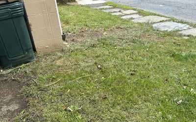 Photo of Joseph E.'s yard after getting landscaping in Scranton, PA