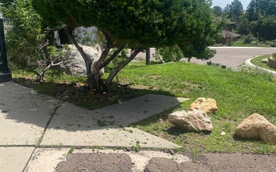 Photo of Crystal B.'s yard after getting landscaping in Palmer Lake, CO