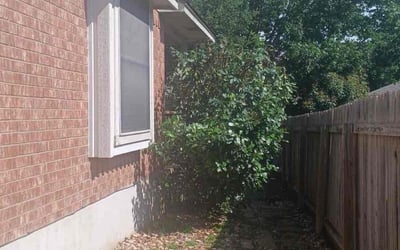 Photo of Stephanie K.'s yard after getting landscaping in Round Rock, TX