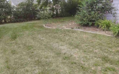 Photo of Melissa W.'s yard after getting landscaping in Fort Collins, CO