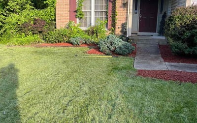 Photo of Connie D.'s yard after getting landscaping in Prince Frederick, MD