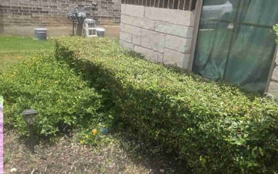 Photo of Brooke G.'s yard after getting landscaping in Leander, TX
