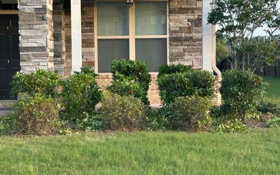 Photo of Chris H.'s yard after getting landscaping in Mcdonough, GA