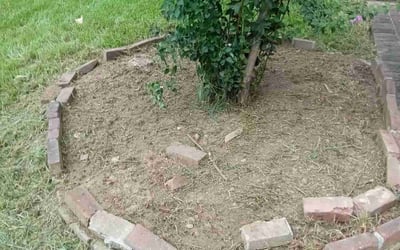 Photo of Bill B.'s yard after getting landscaping in Oakland, TN