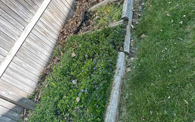 Photo of Michael W.'s yard after getting landscaping in Evergreen, CO