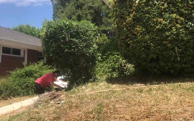 Photo of Parker B.'s yard after getting landscaping in Park City, UT