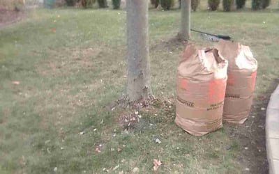 Photo of Jeff S.'s yard after getting landscaping in Grosse Ile, MI