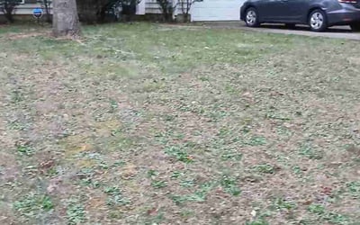 Photo of Brian B.'s yard after getting landscaping in Boone, NC