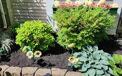 Photo of Stephanie D.'s yard after getting landscaping in Centreville, VA