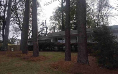 Photo of Dawn H.'s yard after getting tree care in Stone Mountain, GA
