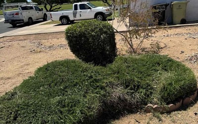 Photo of Kelly N.'s yard after getting landscaping in Cave Creek, AZ