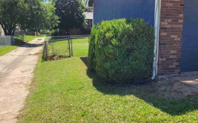 Photo of Megan R.'s yard after getting landscaping in Goddard, KS