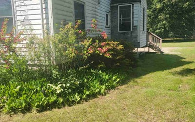 Photo of Jessica S.'s yard after getting landscaping in Derry, NH