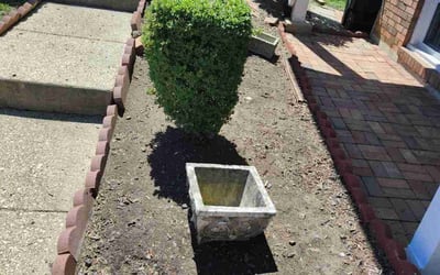 Photo of Adrian R.'s yard after getting landscaping in Capitol Heights, MD
