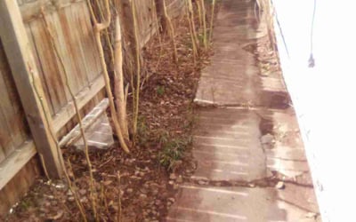 Photo of Eric N.'s yard after getting landscaping in Matheson, CO