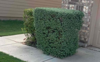 Photo of Jordan G.'s yard after getting landscaping in Luling, TX