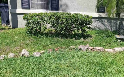 Photo of Joseph W.'s yard after getting landscaping in River Ranch, FL