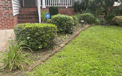 Photo of Elizabeth M.'s yard after getting landscaping in Trinity, NC