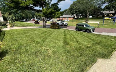 Photo of Lisa K.'s yard after getting landscaping in Grain Valley, MO