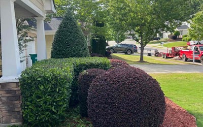 Photo of Heather T.'s yard after getting landscaping in Mableton, GA