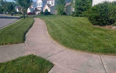 Photo of Michael C.'s yard after getting landscaping in Shawnee, OH