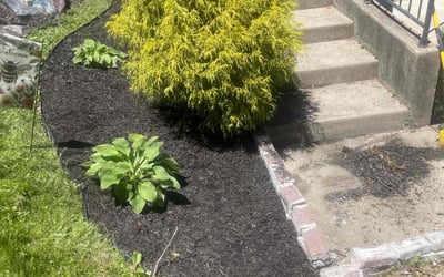 Photo of Michelle C.'s yard after getting landscaping in Alexandria, KY