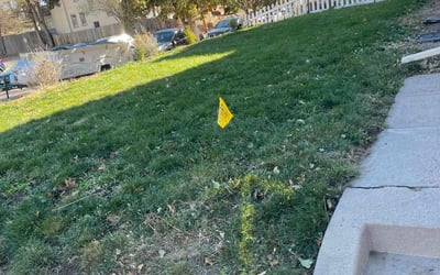 Photo of Debania C.'s yard after getting tree care in Conifer, CO