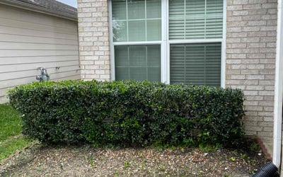 Photo of Deanna W.'s yard after getting landscaping in Danciger, TX